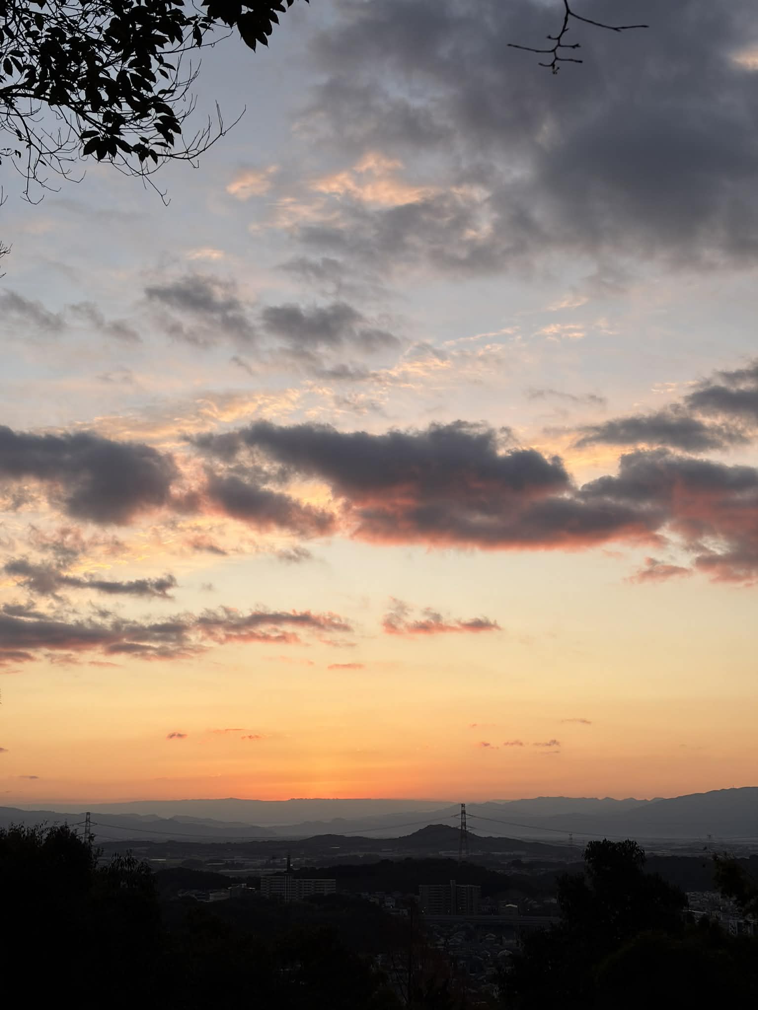 49f6f22e-c795-481a-b852-8a9a21a76c8e